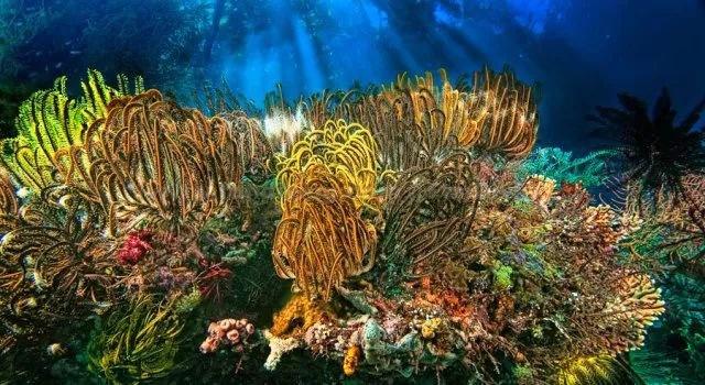 《万里归途》发布最新花絮，为何王俊凯的电影比易烊千玺的票房低那么多？游戏画面